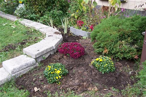 Pre-K Grows a Garden 